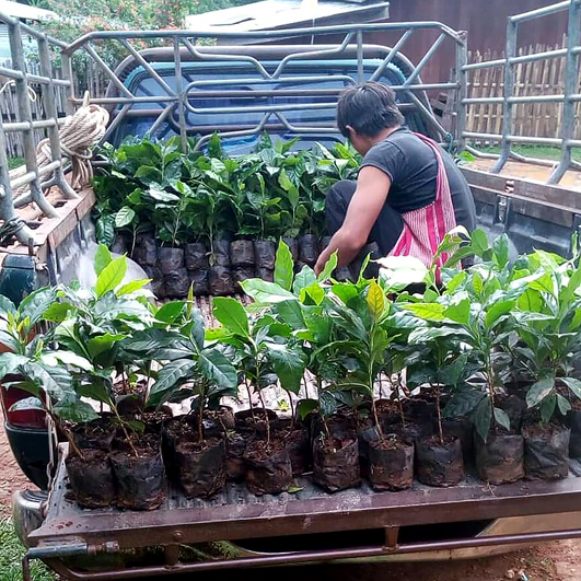 ご支援のお願い