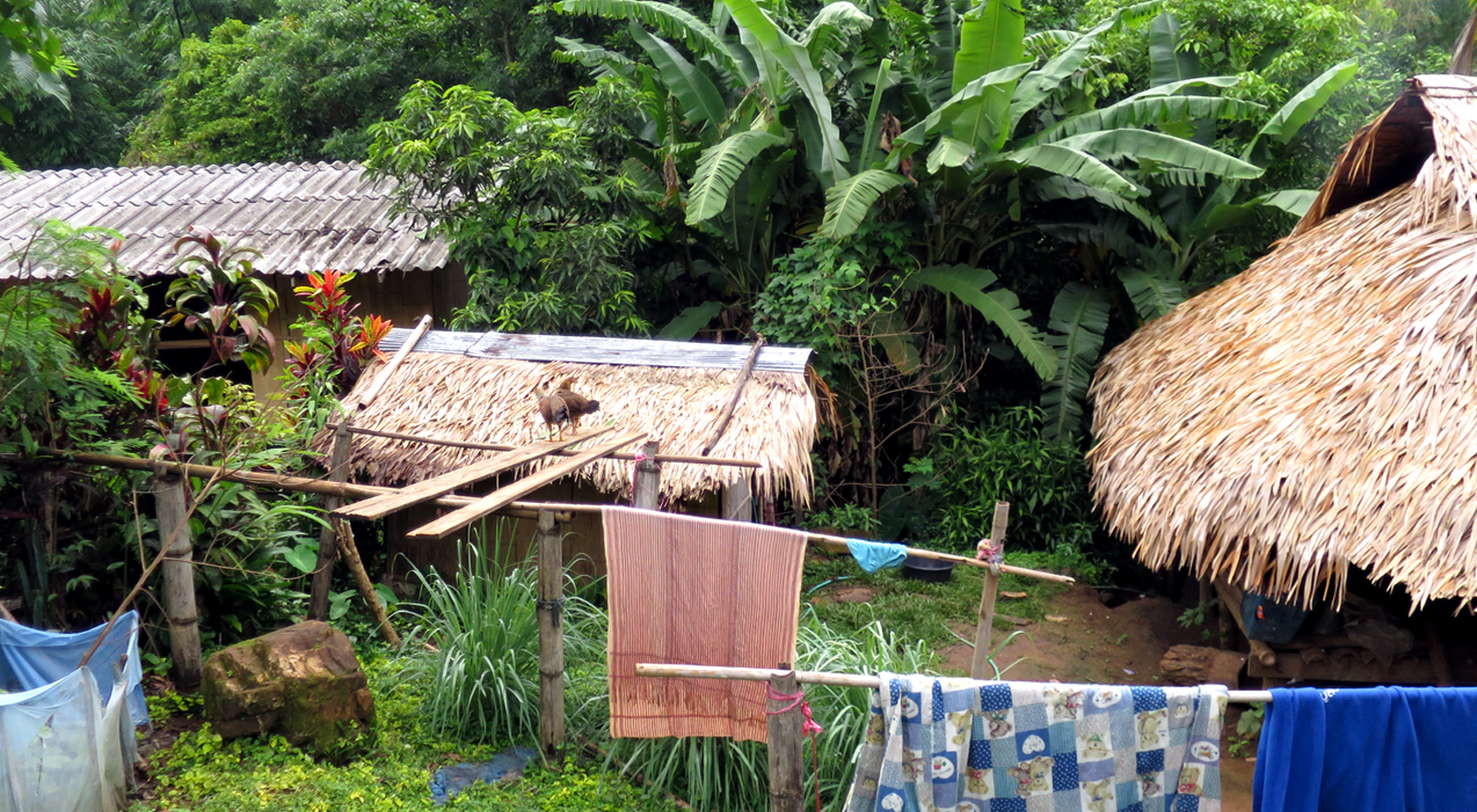 「地域と国際」医療フォーラム